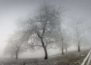 Про ускладнення погодних умов на Тернопільщині попереджають рятувальники