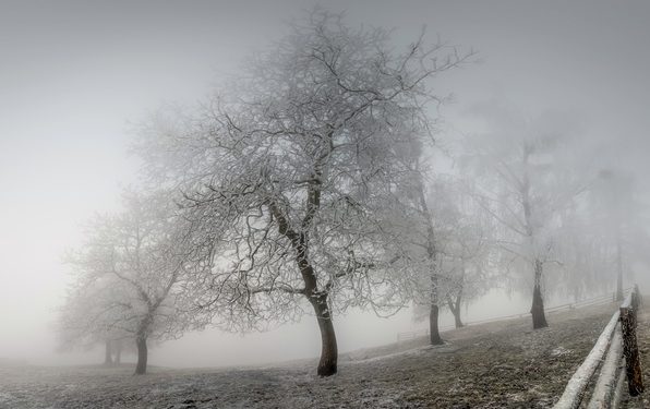 Про ускладнення погодних умов на Тернопільщині попереджають рятувальники