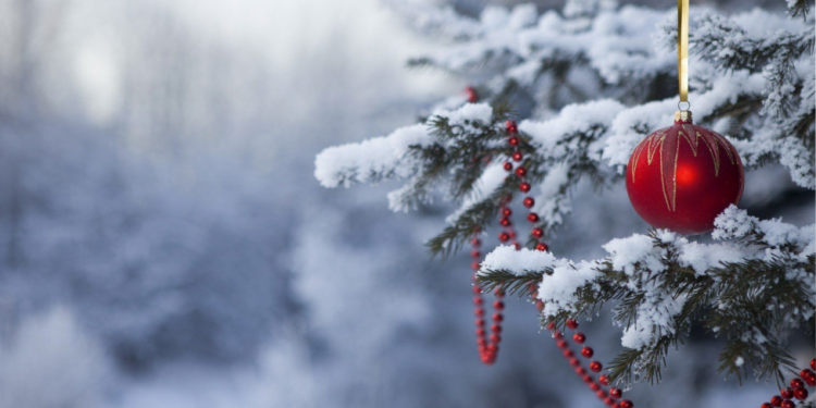 У новорічну ніч комендантська година діятиме на Тернопільщині