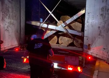 Судитимуть зловмисників, які незаконно вирубували ліс і збували деревину на Тернопільщині