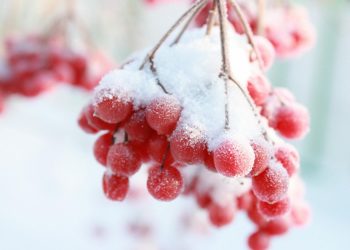 Ускладнення погодних умов прогнозують на Тернопільщині