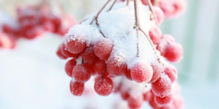 Ускладнення погодних умов прогнозують на Тернопільщині