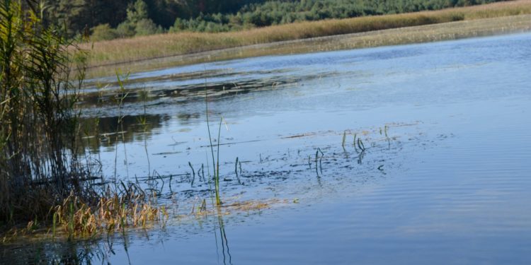 Майно за понад 120 млн грн повернули у власність Борсуківській громаді