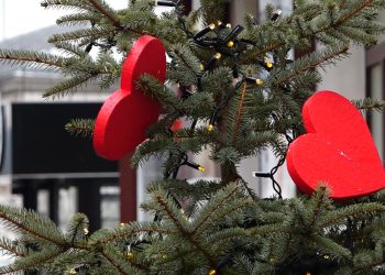 Як тернополяни відзначають День святого Валентина