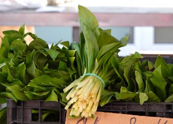 Чи продають червонокнижну черемшу на тернопільських ринках?