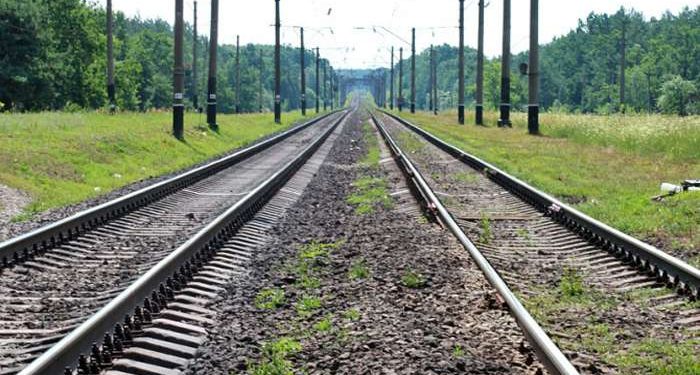 Прокуратура вимагає стягнути з “Львівської залізниці” 500 тисяч через зрубані дерева біля колії