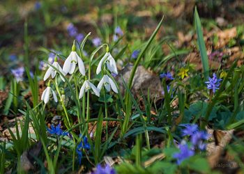 Якою буде погода впродовж робочого тижня на Тернопільщині