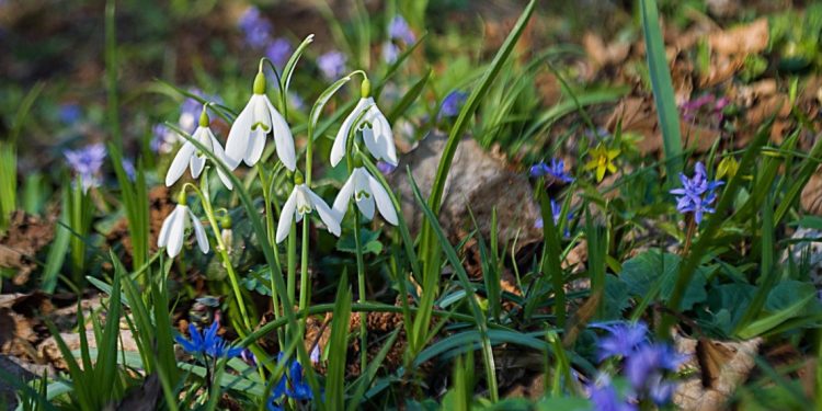 Якою буде погода впродовж робочого тижня на Тернопільщині
