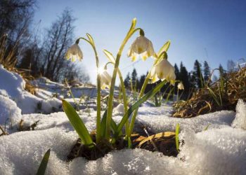 Синоптики розповіли, якою буде погода на вихідні