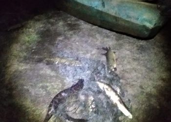 Рибалку-порушника виявили у гідрологічному заказнику “Серетський”