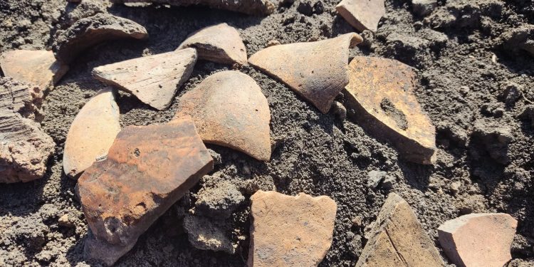 Стародавнє поселення трипільської культури знайшли на Гусятинщині