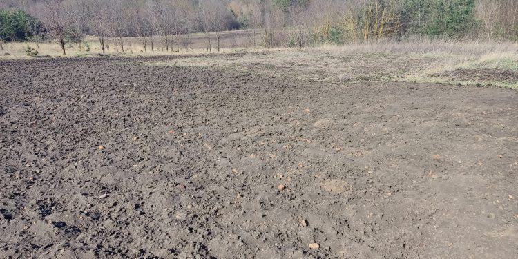 Стародавнє поселення трипільської культури знайшли на Гусятинщині