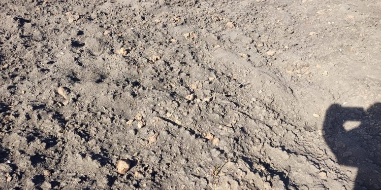 Стародавнє поселення трипільської культури знайшли на Гусятинщині