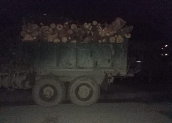 Водія, який вантажівкою незаконно перевозив дрова, зупинили правоохоронці на Тернопільщині