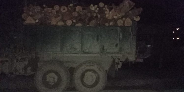 Водія, який вантажівкою незаконно перевозив дрова, зупинили правоохоронці на Тернопільщині