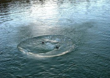 Утопленика виявили в ставку у Козовій