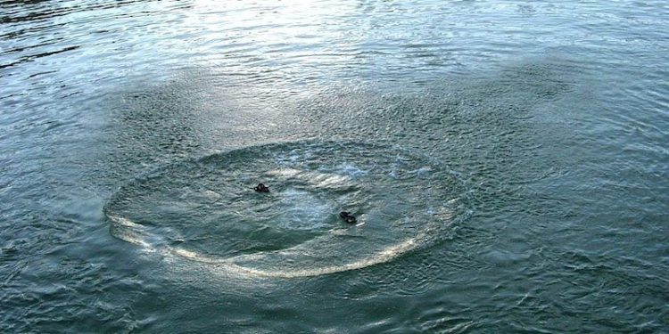 Утопленика виявили в ставку у Козовій