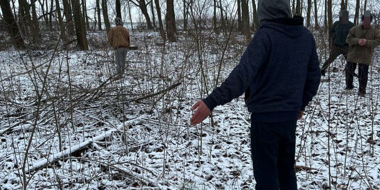 Дерев на понад 270 тисяч зрубав чоловік із Тернопільщини