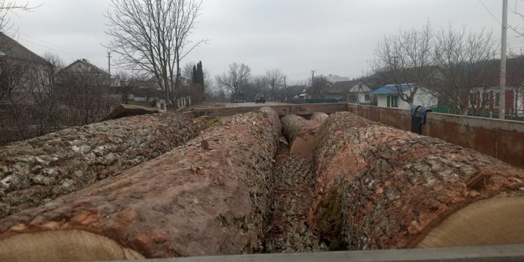 За пропозицію хабаря поліції судитимуть водія з Кременеччини