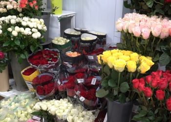 Шахрай за замовлення квітів і їжі на 35 тисяч розрахувався фальшивими квитанціями у Тернополі