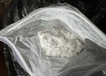 По 8 мільйонів прибутку щомісяця приносив наркобізнес, який організував житель Тернопільщини