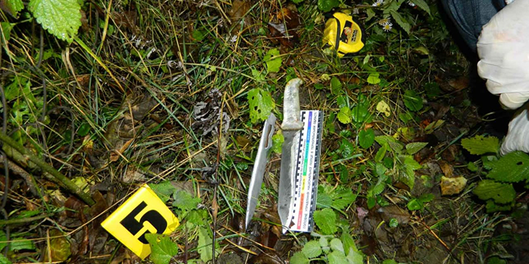 Судитимуть пенсіонера, який вбив пасинка на Гусятинщині