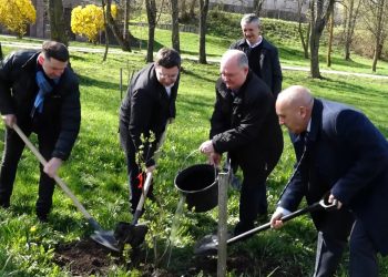 Висадили дерева та провели фестиваль професій з нагоди дня заснування вишу у ТНПУ ім. В. Гнатюка