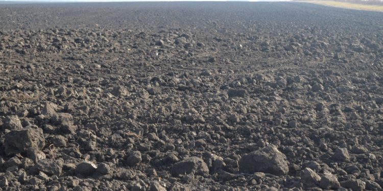 Громадянці росії досі належить земля у Золотопотіцькій громаді