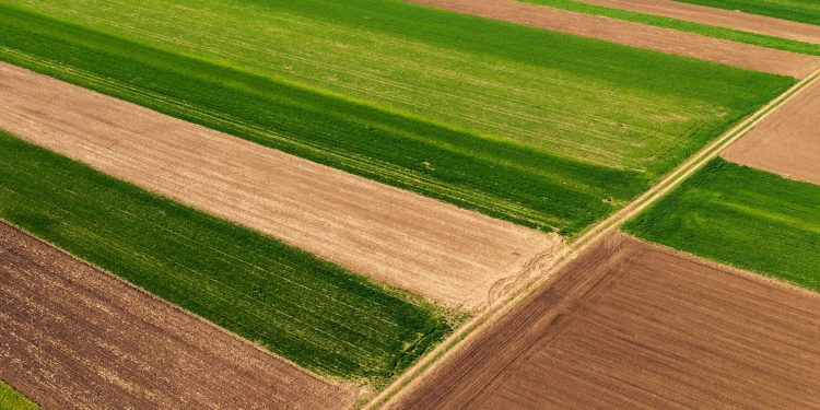 На понад 305 млн. грн землі повернули Бучацькій громаді