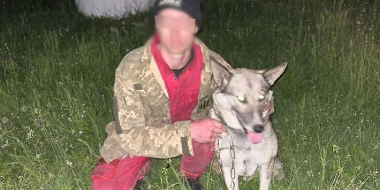 Чоловік загубився під час прогулянки у лісі біля Дністра