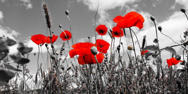 День пам’яті та примирення, присвячений загиблим у Другій світовій війні відзначають сьогодні в Україні