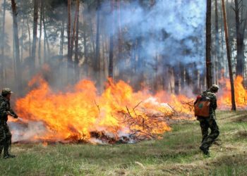 Про надзвичайну пожежну небезпеку попереджають жителів Тернопільщини
