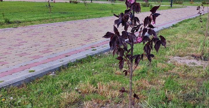 Вандали понищили зооботсад у Ланівцях