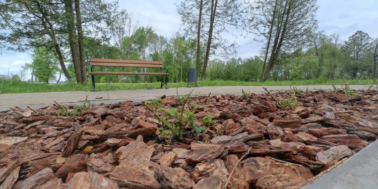 Вандали понищили зооботсад у Ланівцях