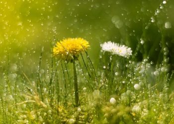 Чи буде сонячна погода на вихідні у Тернополі