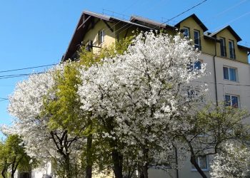 Чи надовго затримається тепло на Тернопільщині