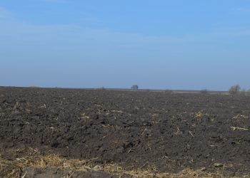 У росіянина хочуть конфіскувати земельну ділянку у Великогаївській громаді