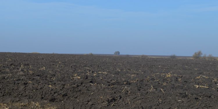 У росіянина хочуть конфіскувати земельну ділянку у Великогаївській громаді