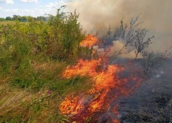 Про ризик пожеж у лісах попереджають жителів Тернопілля