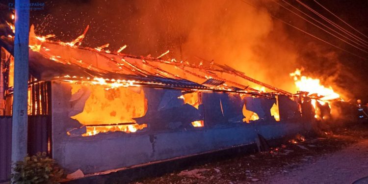 Свійські тварини ледь не згоріли у пожежі на Чортківщині