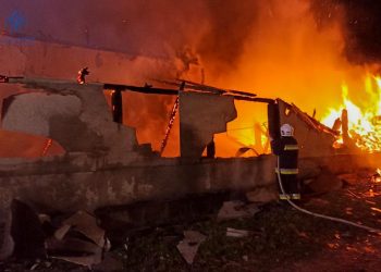 Свійські тварини ледь не згоріли у пожежі на Чортківщині