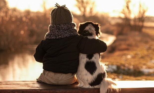 Свійські тварини ледь не згоріли у пожежі на Чортківщині