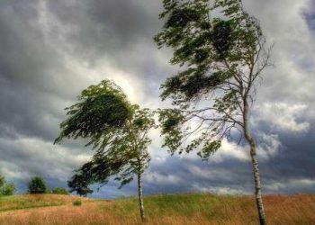 Сильний вітер прогнозують 29 червня на Тернопільщині