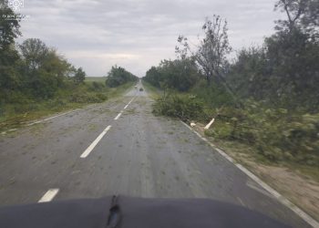 Повалені дерева й села без світла: наслідки стихії на Тернопільщині оприлюднили рятувальники