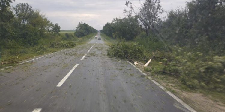 Повалені дерева й села без світла: наслідки стихії на Тернопільщині оприлюднили рятувальники