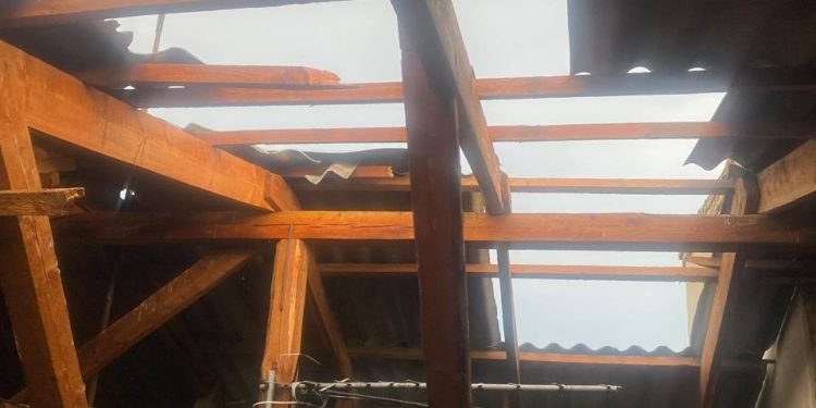 Повалені дерева й села без світла: наслідки стихії на Тернопільщині оприлюднили рятувальники