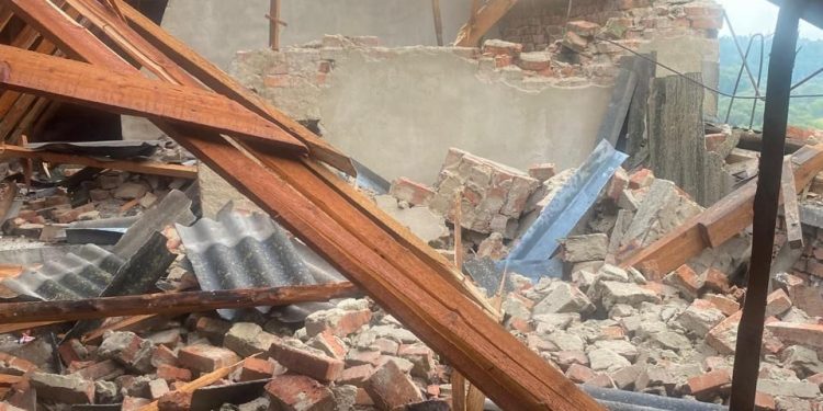 Повалені дерева й села без світла: наслідки стихії на Тернопільщині оприлюднили рятувальники