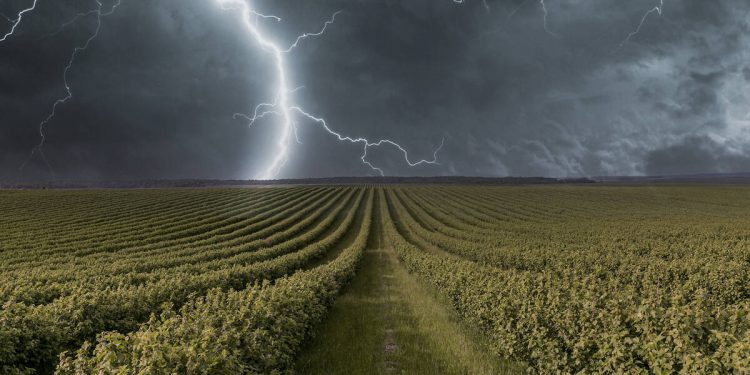 Негоду прогнозують 20 липня на Тернопіллі