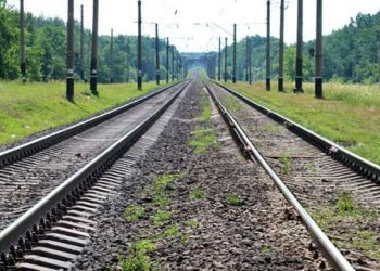 Понад 500 тисяч стягнуть за незаконно зрубані дерева біля залізничної колії