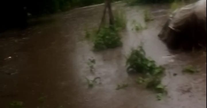 Людське майно плаває у воді: жахливі наслідки підтоплення в Підгаєцькій громаді